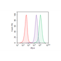 CD20 - CHO Recombinant Cell Line – Figure 1 of 1