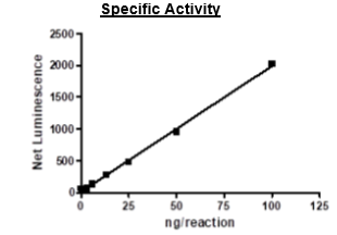PDGFRα (D842V), GST-Tag Recombinant – Figure 1 of 2