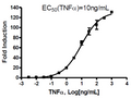 NF- κB Reporter (Luc) - THP-1 Cell Line – Figure 1 of 6