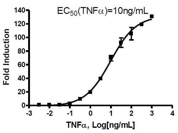 NF- κB Reporter (Luc) - THP-1 Cell Line – Figure 1 of 6