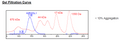 KIR2DL1, Fc-fusion, Avi-Tag HiP™ Recombinant – Figure 1 of 2