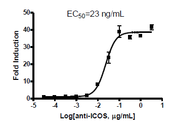 ICOS/NFAT Reporter-Jurkat Recombinant Cell Line – Figure 1 of 3