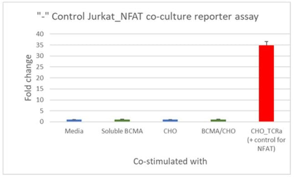 Anti-BCMA CAR /NFAT (Luciferase) Reporter Jurkat Cell Line – Figure 1 of 3