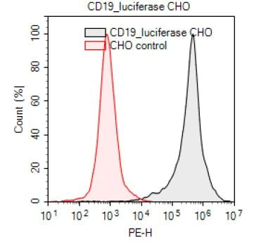 CD19 / Firefly Luciferase - CHO Recombinant Cell Line – Figure 1 of 2