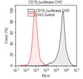 CD22 / Luciferase - CHO Recombinant Cell Line – Figure 1 of 4