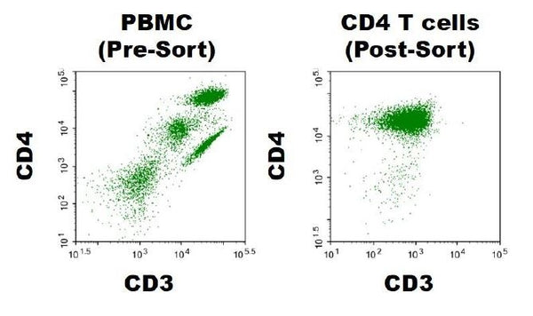 CD4+ T cells, Negatively Selected (Human) – Figure 1 of 1