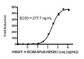 BAFF/APRIL Responsive BCMA-NF-κB Luciferase Reporter HEK293 Cell Line – Figure 1 of 2