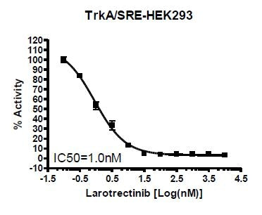 TrkA / SRE Reporter - HEK293 Recombinant Cell Line – Figure 1 of 4