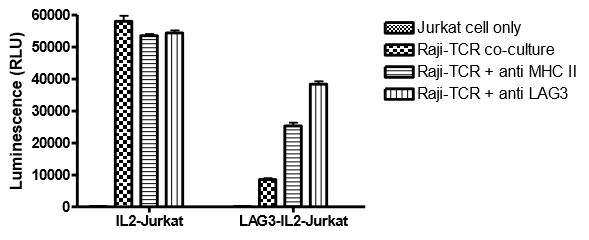 LAG3 / IL-2 Reporter - Jurkat Recombinant Cell Line – Figure 1 of 5