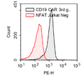 Anti-CD19 CAR / NFAT (Luciferase) Reporter Jurkat Cell Line (CD19 SCFV-CD28-4-1BB-CD3ζ) – Figure 1 of 2