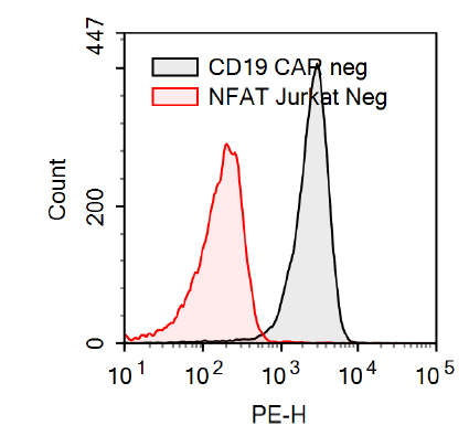 Anti-CD19 CAR negative control/ NFAT (Luciferase) Reporter Jurkat Cell Line (CD19 SCFV-CD28 transmembrane motif) – Figure 1 o