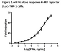 IRF Reporter (Luc) - THP-1 Cell line (cGAS-Sting Signaling Pathway) – Figure 1 of 4