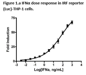 IRF Reporter (Luc) - THP-1 Cell line (cGAS-Sting Signaling Pathway) – Figure 1 of 4