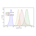 BAFF-R - CHO K1 Recombinant Cell Line – Figure 1 of 1