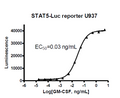 STAT5 Luciferase Reporter U937 Cell Line – Figure 1 of 2