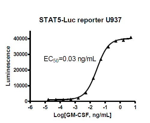 STAT5 Luciferase Reporter U937 Cell Line – Figure 1 of 2