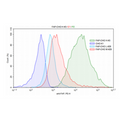 FAP- CHO K1 Recombinant Cell Line – Figure 1 of 1
