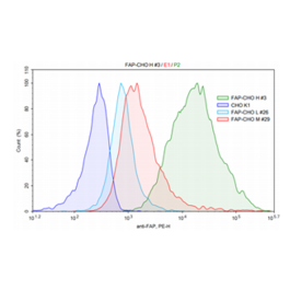 FAP- CHO K1 Recombinant Cell Line – Figure 1 of 1