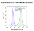 ACE2 - HEK293 Recombinant Cell Line – Figure 1 of 2