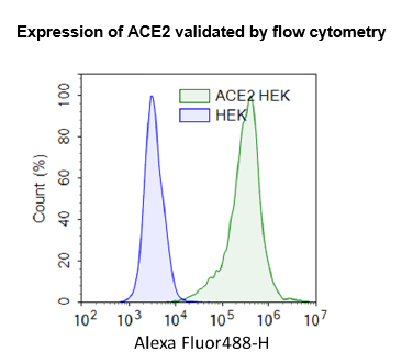 ACE2 - HEK293 Recombinant Cell Line – Figure 1 of 2