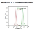 ACE2 - HeLa Recombinant Cell Line – Figure 1 of 2