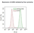 ACE2 - CHO Recombinant Cell Line – Figure 1 of 2
