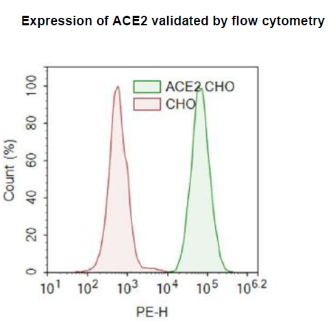 ACE2 - CHO Recombinant Cell Line – Figure 1 of 2