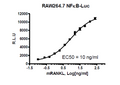 NF-κB Luciferase Reporter Raw 264.7 Cell Line – Figure 1 of 2