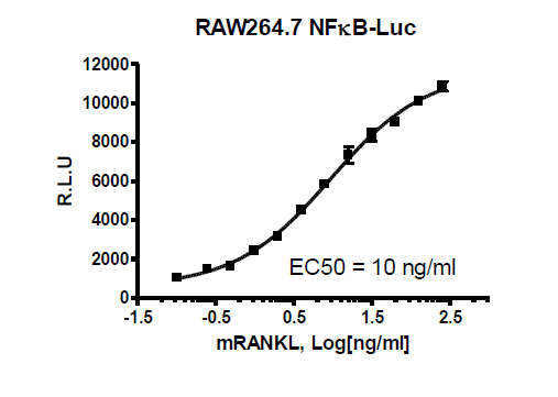 NF-κB Luciferase Reporter Raw 264.7 Cell Line – Figure 1 of 2