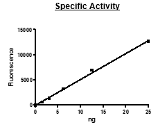 Cathepsin S, His-tag Recombinant – Figure 1 of 2