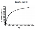 UBE1 (UBA1), FLAG-tag Recombinant – Figure 1 of 2