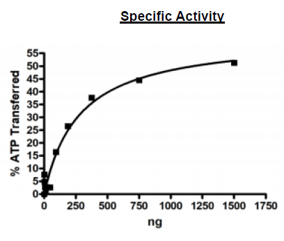UBE1 (UBA1), FLAG-tag Recombinant – Figure 1 of 2