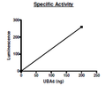 UBA6 (UBE1L2), FLAG-tag Recombinant – Figure 1 of 2