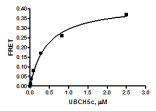 UbcH5c, His-Tag (Human) Recombinant – Figure 1 of 2