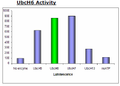 UbcH6 (UBE2E1), His-tag Recombinant – Figure 1 of 2