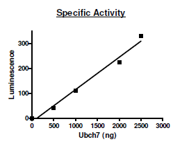 UbcH7, His-tag (Sf9-derived) Recombinant – Figure 1 of 2