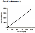 UEV1A (UBE2V1), FLAG-tag Recombinant – Figure 1 of 4