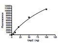 USP2, His-tag (E. coli-derived) Recombinant – Figure 1 of 2