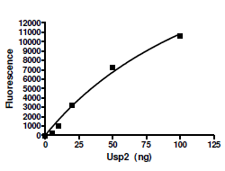 USP2, His-tag (E. coli-derived) Recombinant – Figure 1 of 2