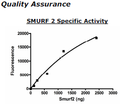 SMURF2, FLAG-tag Recombinant – Figure 1 of 2