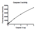 Caspase3, His-Tag Recombinant – Figure 1 of 2