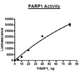 PARP1, GST-tag Recombinant – Figure 1 of 2