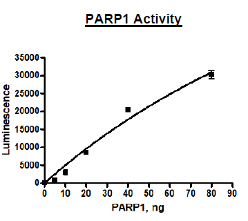 PARP1, GST-tag Recombinant – Figure 1 of 2
