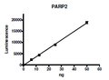 PARP2, GST-tag Recombinant – Figure 1 of 2