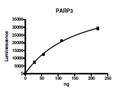PARP3, GST-tag Recombinant – Figure 1 of 4