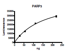 PARP3, GST-tag Recombinant – Figure 1 of 4