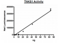 Tankyrase 1 (PARP5A), GST-Tag Recombinant – Figure 1 of 4
