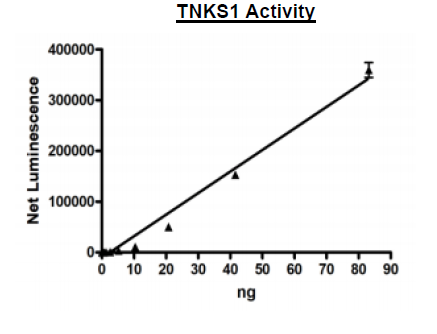 Tankyrase 1 (PARP5A), GST-Tag Recombinant – Figure 1 of 4