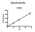PARP6, GST-Tag Recombinant – Figure 1 of 5