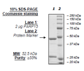 PARP15, GST-tag Recombinant – Figure 1 of 2